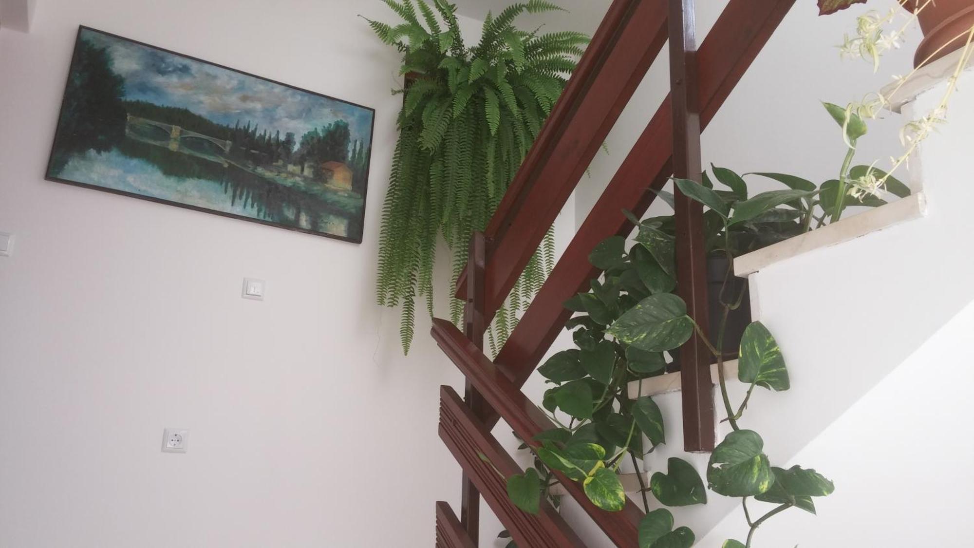 Roncevic Apartment *