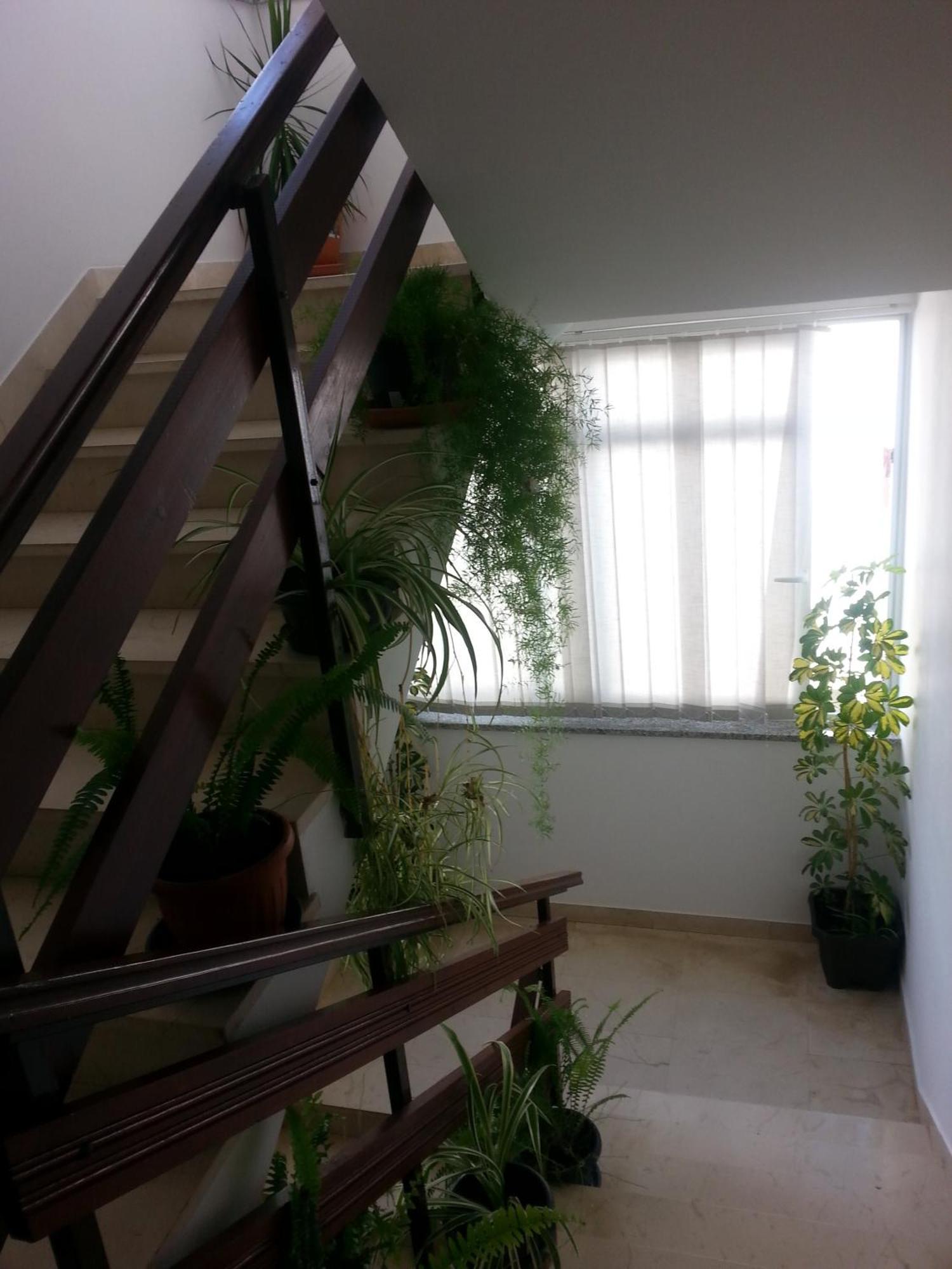 Apartment Roncevic