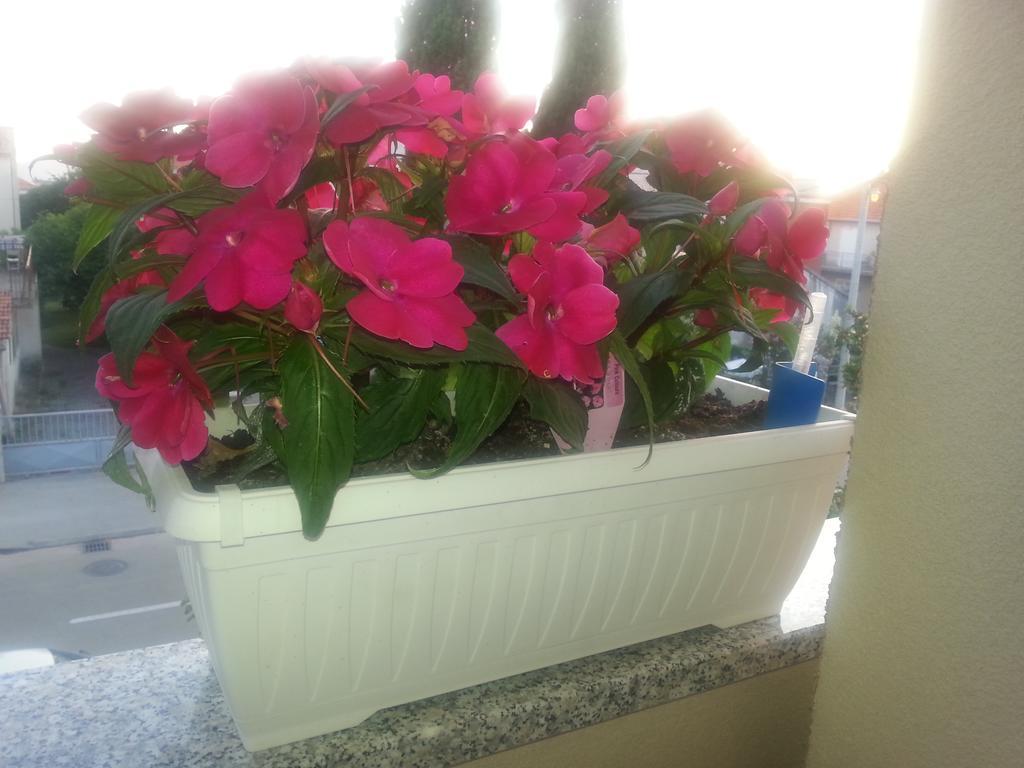 Apartment Roncevic *